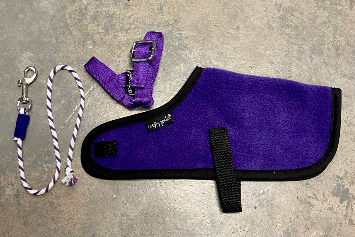 Foal Rug Set – Crafty Ponies USA